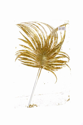 													Ветка золото  см  2013957 фото 2