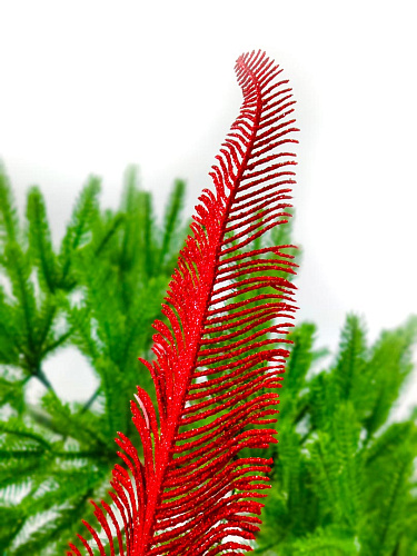 													Перо красный  см  fz-10081R