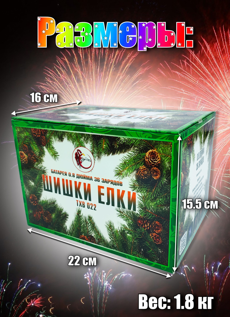 Шишки елки фото 3 Шишки елки фото 3