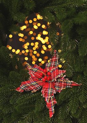 Цветок клетка d 24 см 9817564