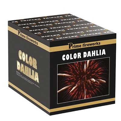 Цветная орхидея