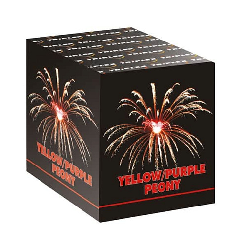 Желто-пурпурные пионы Желто-пурпурные пионы