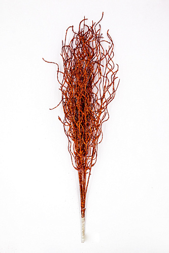 													Ветка красная  см  9817559R