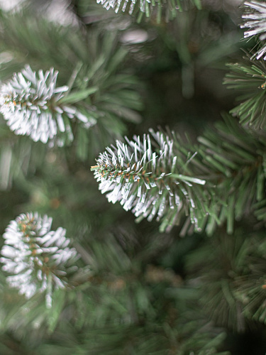 													  2,2 м зелёная  1980221К фото 3