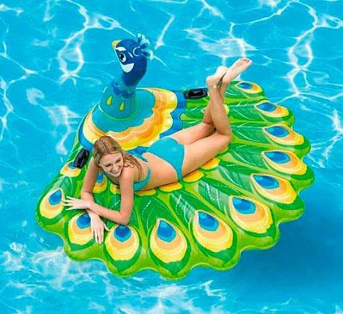 													Плотик "Павлин" (193х163х94см) 57250 