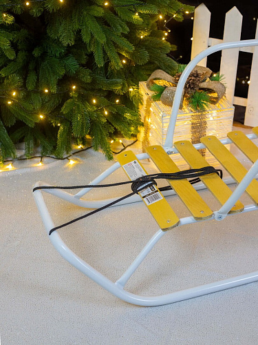 													Санки детские Ветерок 1 белый 9234874/В1/Б фото 2