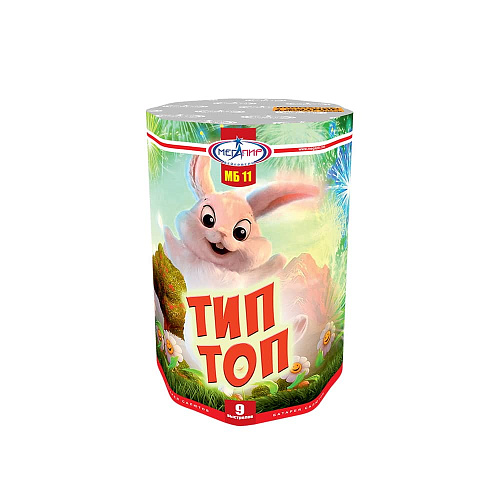 													Тип-Топ фото 2