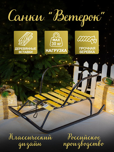 													Санки детские Ветерок 1 черный 9234875/В1/Ч